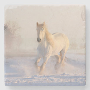 Dessous-de-verre En Pierre cheval blanc dans la neige