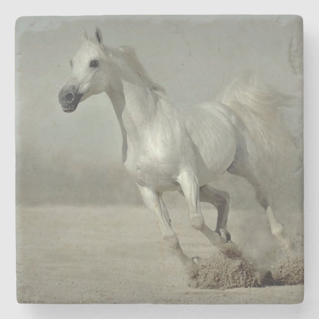 Dessous-de-verre En Pierre Cheval sauvage fonctionnant librement (Devant)