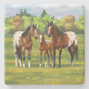 Dessous-de-verre En Pierre Chevaux Appaloosa De Baie Brown En Pâturage D'Été