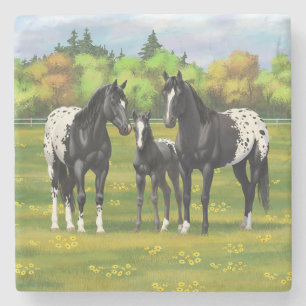 Dessous-de-verre En Pierre Chevaux Appaloosa Noir Dans Les Pâturages D'Été