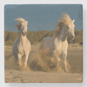 Dessous-de-verre En Pierre Chevaux blancs fonctionnant sur la plage