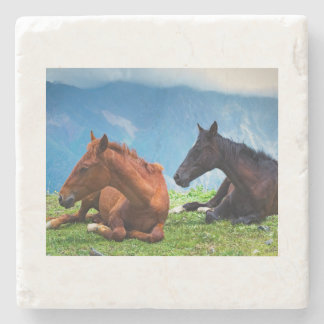 Dessous-de-verre En Pierre Chevaux de Moody Mountain : Un voyage d'art raffin