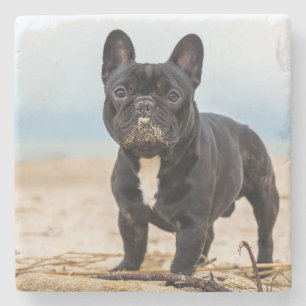 Dessous-de-verre En Pierre Chien de taureau français jouant dans le sable