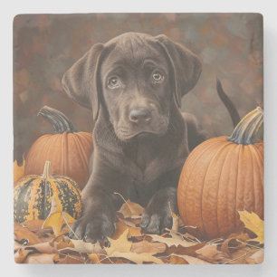 Dessous-de-verre En Pierre Chocolat Labrador Retriever Automne