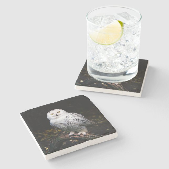 Dessous-de-verre En Pierre Chouette hivernale majestueuse (Côté)