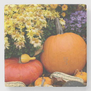 Dessous-de-verre En Pierre citrouille décoratif d'automne coloré