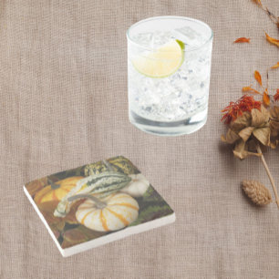 Dessous-de-verre En Pierre Citrouilles et Squash Still Life Photo