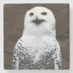 Dessous-de-verre En Pierre Coastère de Snowy Owl