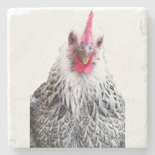 Dessous-de-verre En Pierre Cochin Naine Poule Photo Dessous de Verre en Pierr