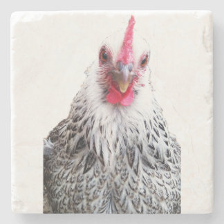 Dessous-de-verre En Pierre Cochin Naine Poule Photo Dessous de Verre en Pierr