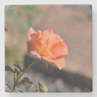 Dessous-de-verre En Pierre Collection Tasses à Café Jardin de Roses 4 sur 4