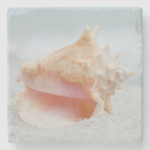 Dessous-de-verre En Pierre Conque Shell