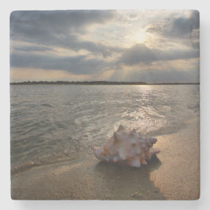 Dessous-de-verre En Pierre Conque Shell à la plage St Augustine, la Florid