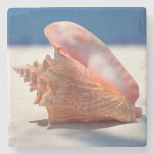Dessous-de-verre En Pierre Conque Shell sur la plage 2