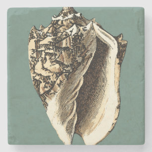 Dessous-de-verre En Pierre Conque turquoise Shell