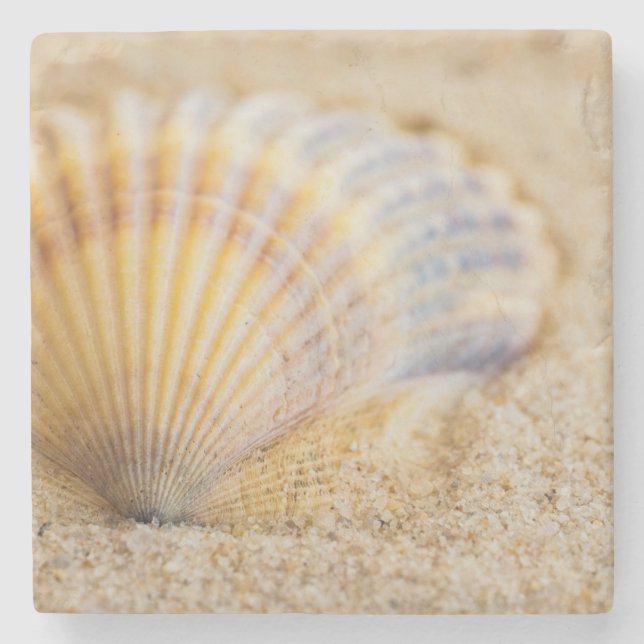 Dessous-de-verre En Pierre Coquillage doux (Devant)