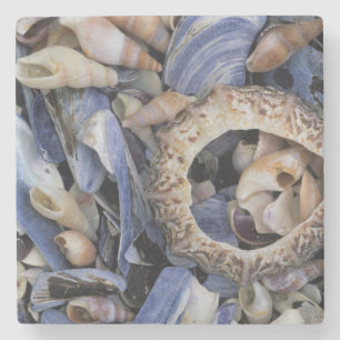 Dessous-de-verre En Pierre Coquillages, Le Cap, Cap-Occidental