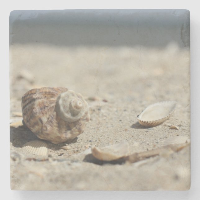 Dessous-de-verre En Pierre Coquillages sur le sable par la mer (Devant)