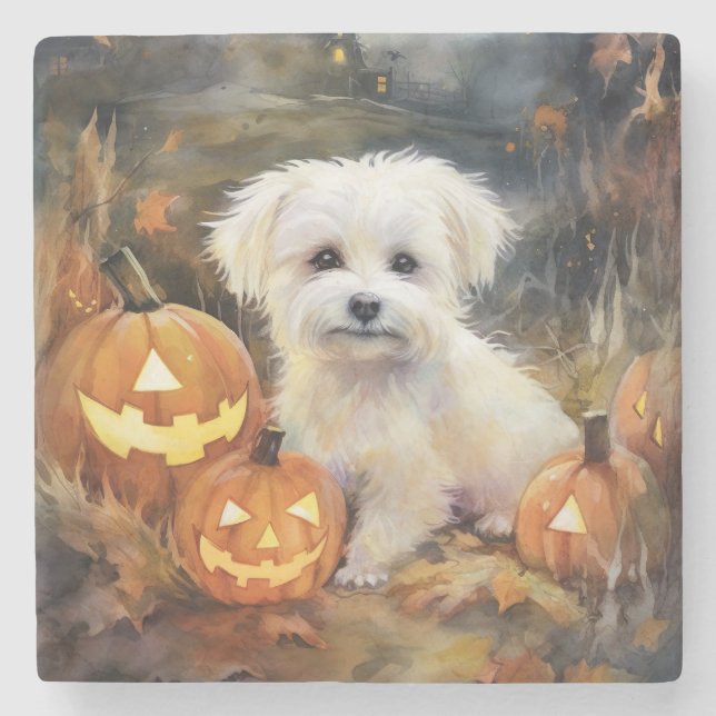 Dessous-de-verre En Pierre Coton De Tulear Halloween Avec Peur Citrouille (Devant)