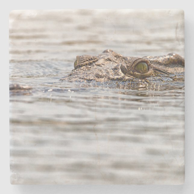 Dessous-de-verre En Pierre Crocodile du Nil (Devant)