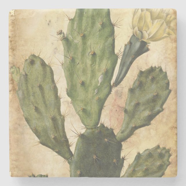 Dessous-de-verre En Pierre cru rustique de cactus (Devant)