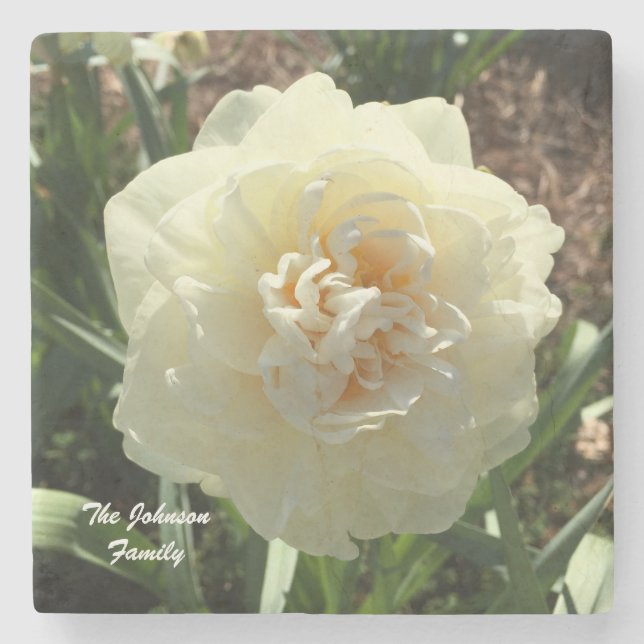 Dessous-de-verre En Pierre Daffodil blanc Personnaliser votre famille (Devant)