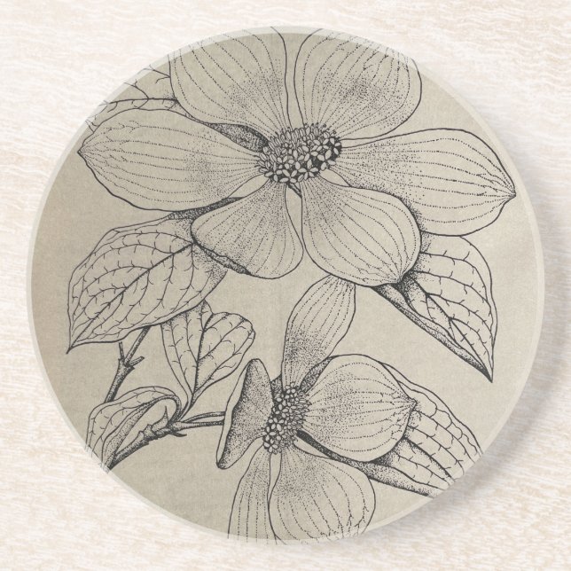 Dessous de verre en pierre de sable de Dogwood (Devant)
