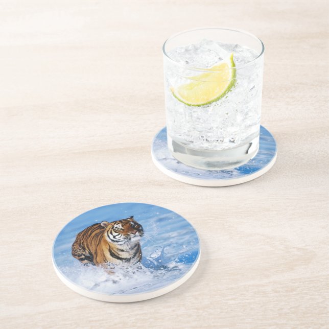 Dessous de verre en pierre de Tiger (Côté)