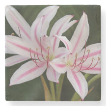 Dessous de verre de Cape Lily Stone