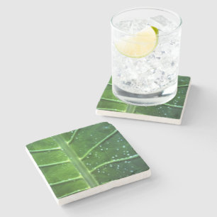 Dessous-de-verre En Pierre Dessous de verre de pierre à feuilles et gouttelet