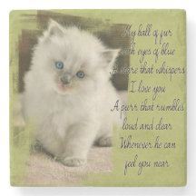 Dessous de verre de pierre de chaton de Ragdoll