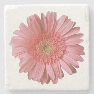 Dessous-de-verre En Pierre Dessous de verre de pierre rose Gerber Daisy