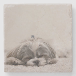 Dessous-de-verre En Pierre Dessous de verre de sommeil de tzu de Shih, chien