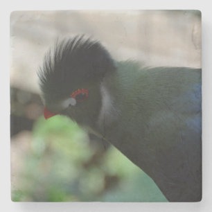 DESSOUS-DE-VERRE EN PIERRE DESSOUS DE VERRE EN MARBRE TURACO DE GUINÉE