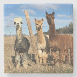 Dessous-de-verre En Pierre Dessous de verre en pierre - Alpacas Phaethon, Org
