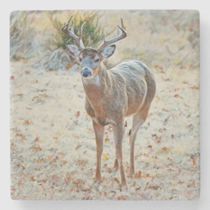 Dessous-de-verre En Pierre Dessous de verre en pierre de Buck Wild Deer Texas