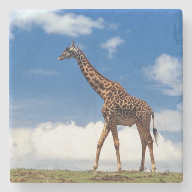 Dessous-de-verre En Pierre Dessous de verre en pierre de girafe (Devant)