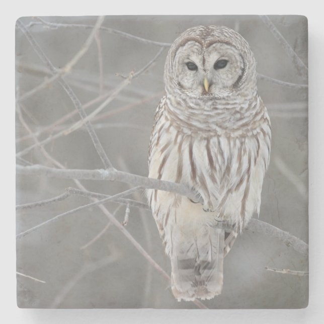 Dessous-de-verre En Pierre Dessous de verre en pierre de hibou (Devant)