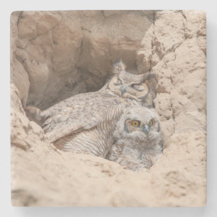 Dessous-de-verre En Pierre Dessous de verre en pierre de Mama et Baby Owl