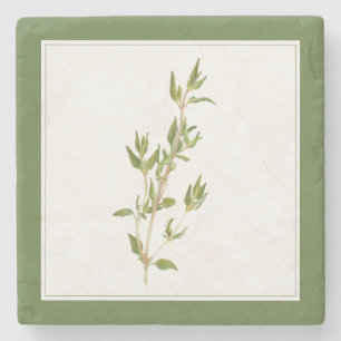 Dessous-de-verre En Pierre DESSOUS DE VERRE en pierre de marbre FRAIS THYME (