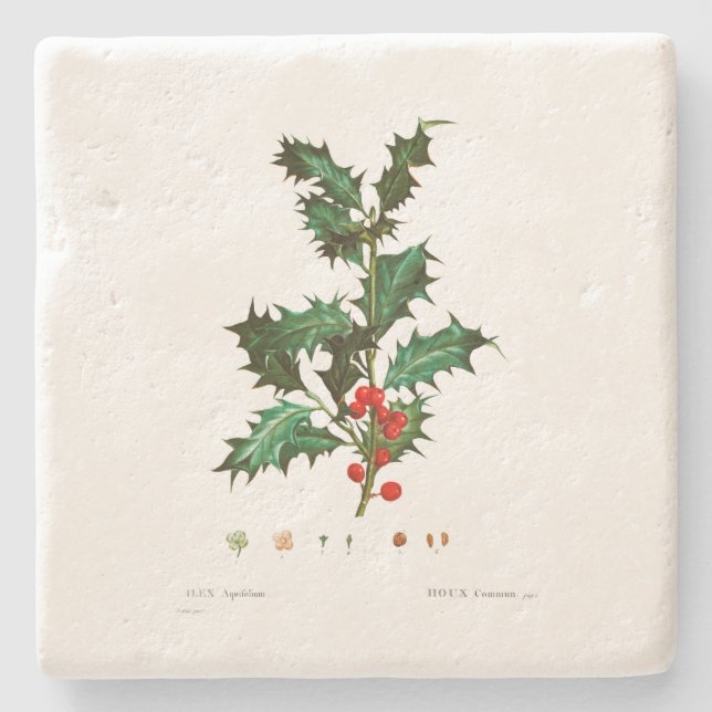 DESSOUS-DE-VERRE EN PIERRE DESSOUS DE VERRE EN PIERRE DE NOËL : HOLLY : REDOU (Devant)