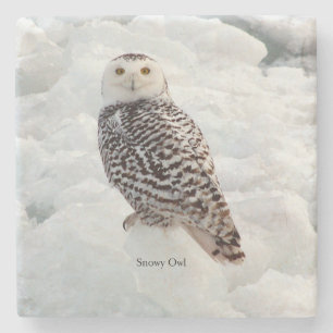 Dessous-de-verre En Pierre Dessous de verre en pierre de Snowy Owl