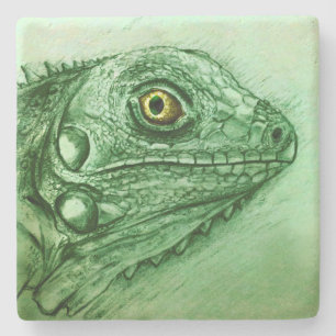 Dessous-de-verre En Pierre Dessous de verre en pierre d'Iguana verte, dessin
