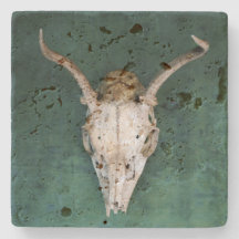 Dessous de verre en pierre du crâne animal