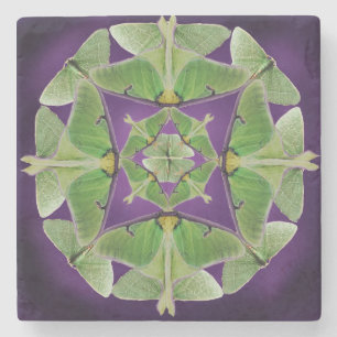 Dessous-de-verre En Pierre Dessous de verre Luna Moth