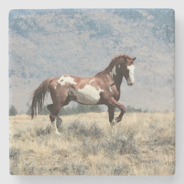 Dessous-de-verre En Pierre Dessous de verre sauvages d'étalon (Devant)