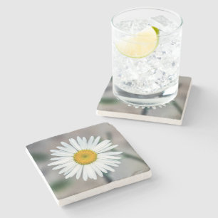 Dessous-de-verre En Pierre Dessous de verre simples de pierre de marguerite