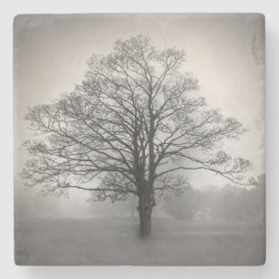 Dessous-de-verre En Pierre Dessous de verre solitaires de pierre d'arbre