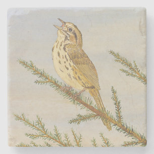 Dessous-de-verre En Pierre Dessous de verre Song Sparrow