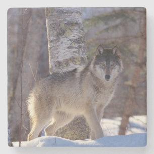 Dessous-de-verre En Pierre Dessous de verre Wolf Stone